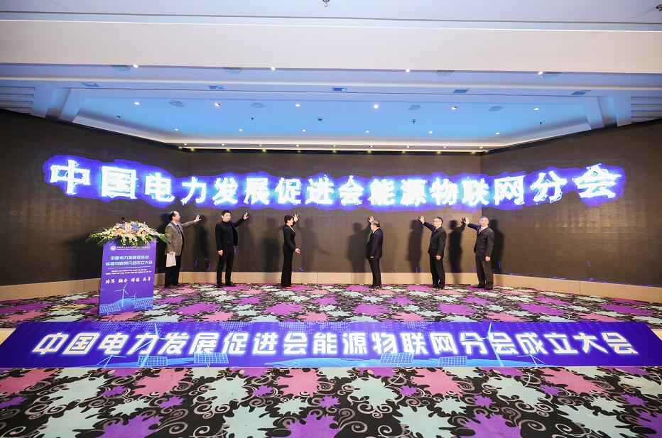 中國電力發(fā)展促進會能源物聯網分會在京成立