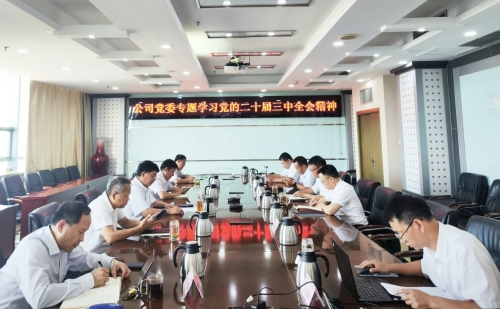 水電基礎(chǔ)局黨委召開(kāi)傳達(dá)學(xué)習(xí)黨的二十屆三中全