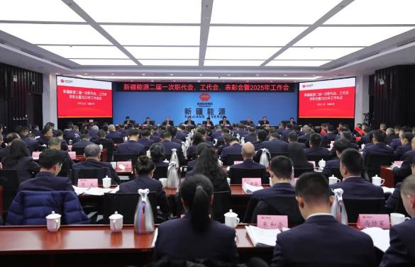 國能新疆能源召開二屆一次職代會、工代會、表彰會暨2025年工作會